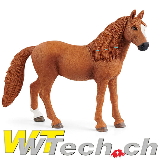 Deutsches Reitpony Stute