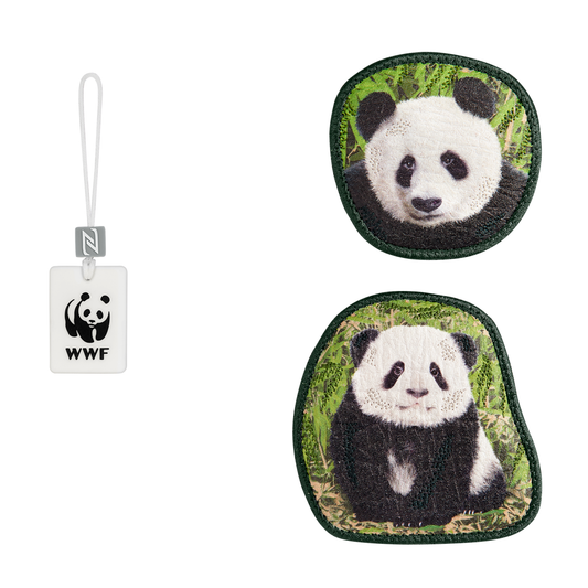 Step by Step MAGIC MAGS WWF Little Panda"